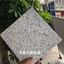 广元 芝麻白荔枝面干挂