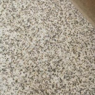 广元 黄金麻中黄光面