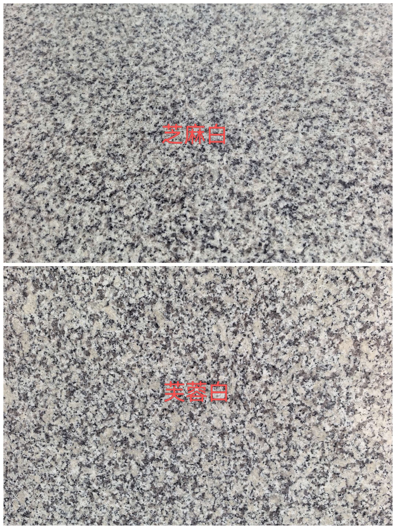 广元 芝麻白和芙蓉白的区别