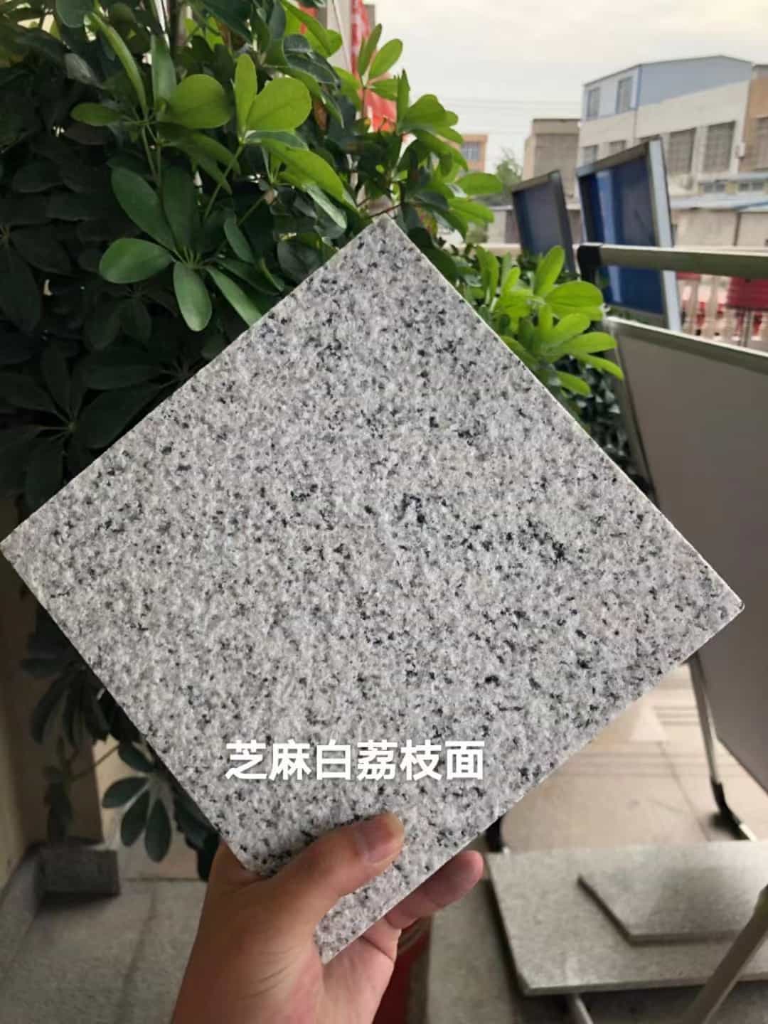 广元 芝麻白荔枝面干挂