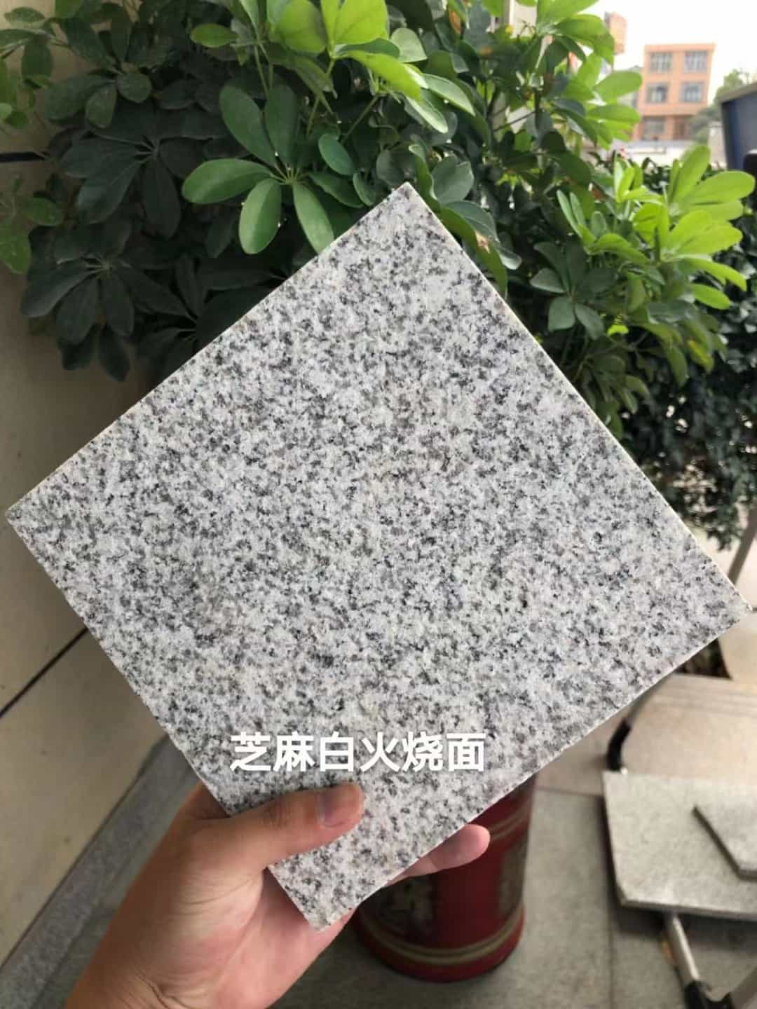 广元芝麻白火烧面地铺