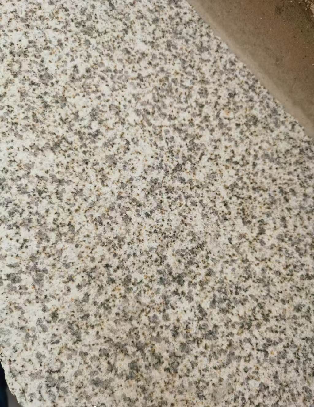 广元 黄金麻中黄光面