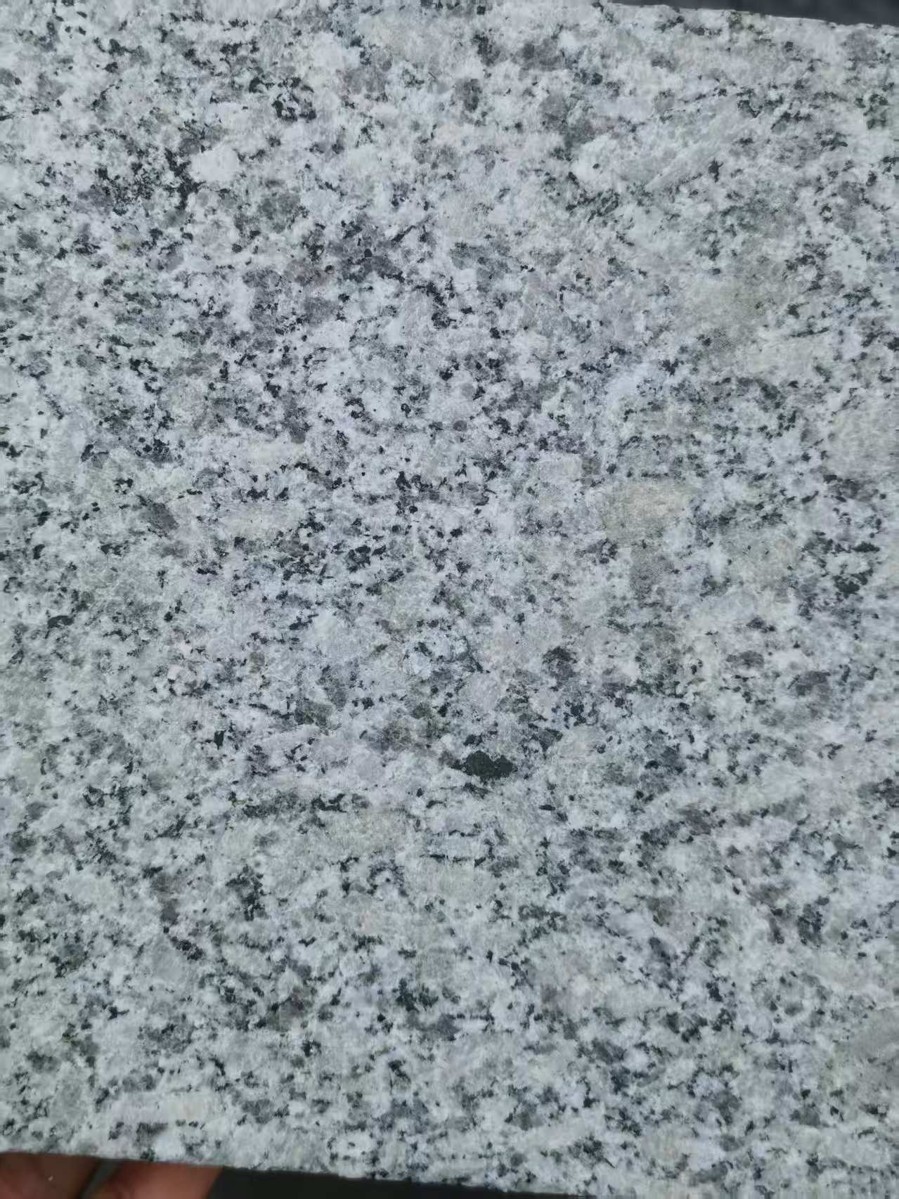 广元 芙蓉白火烧面