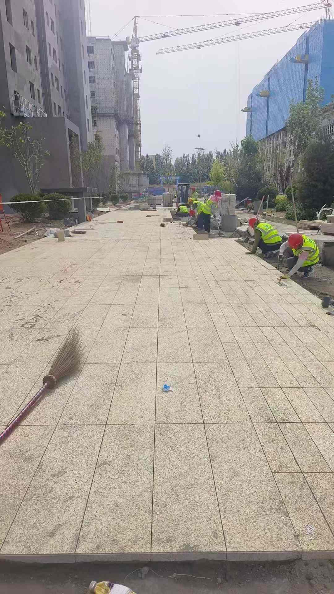 广元黄金麻荔枝面地铺案例